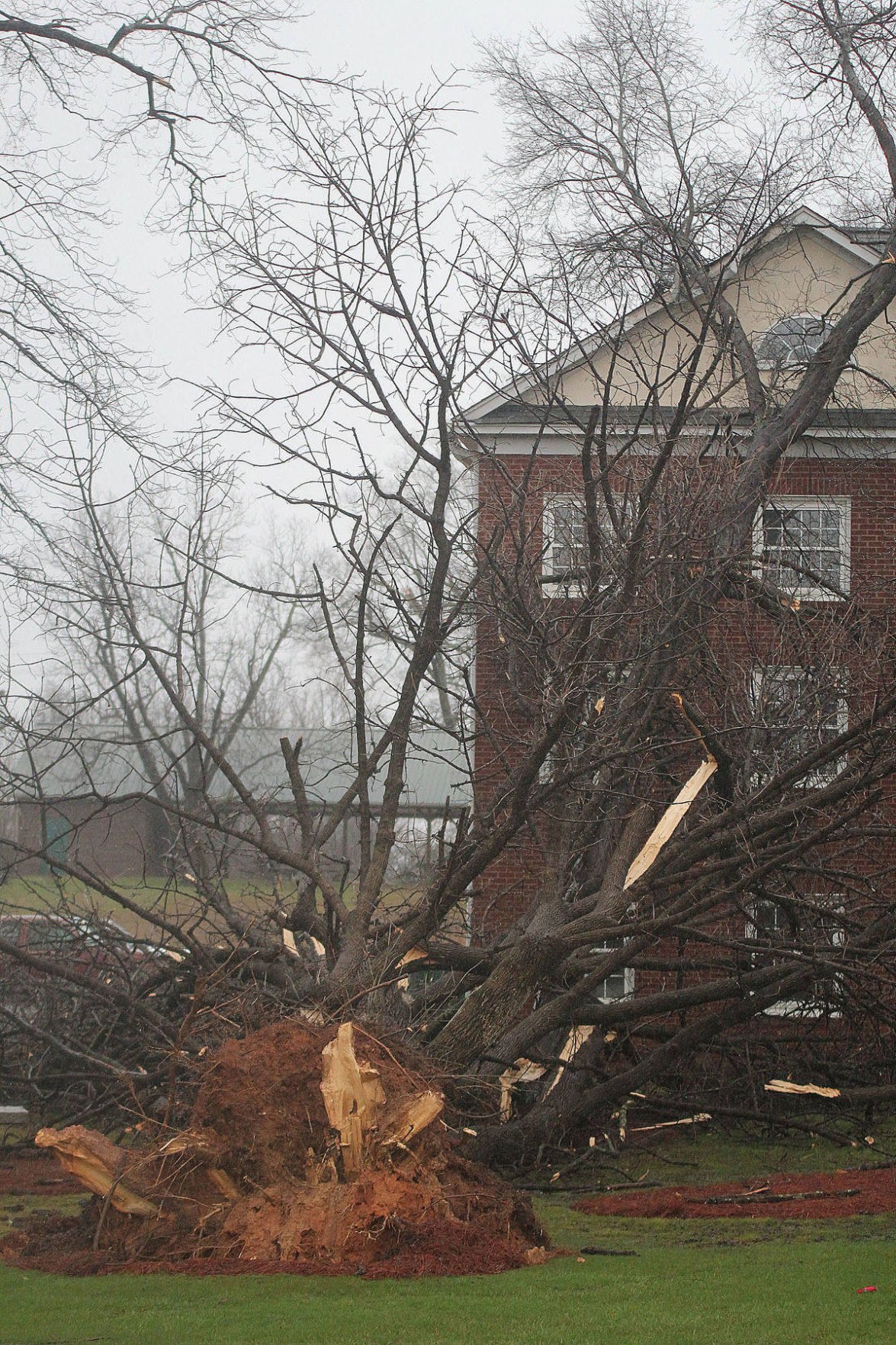 Tornado damage